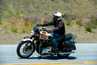 D4S_9768